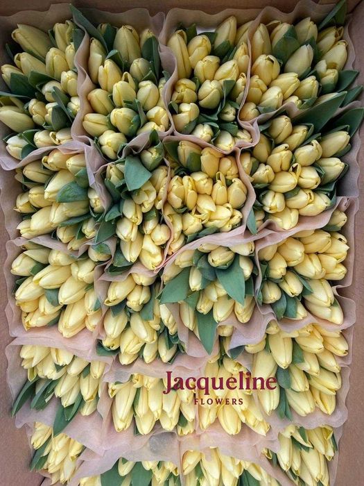 Тюльпаны. Тюльпаны оптом. Премиальные местные тюльпаны оптом.