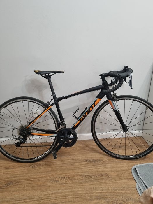 Giant contend 3 вел