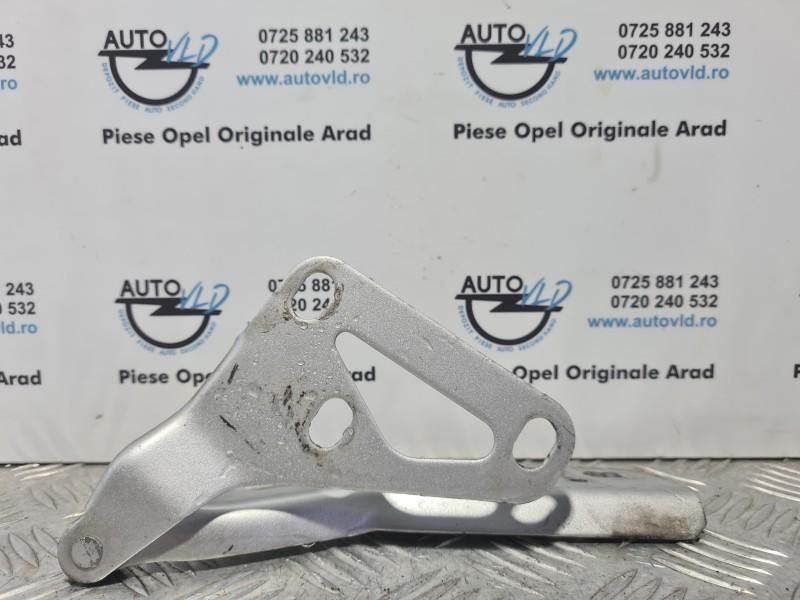 Balamale capota motor stanga dreapta Opel Signum facelift
