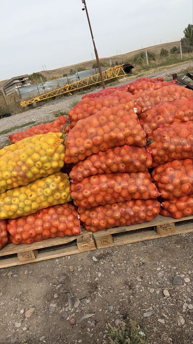 Продам яблоки мешком