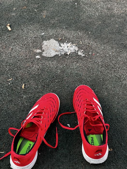 Сороконожки(придатор)