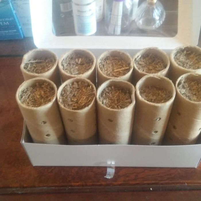 Термитке қарсы у (Антитермит приманка)