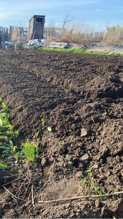 Вспашка огородов мотоблоком