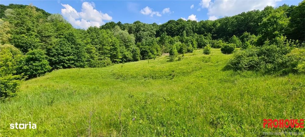 Teren 2033 mp- langa padure-  Margineni- Podis Dubas