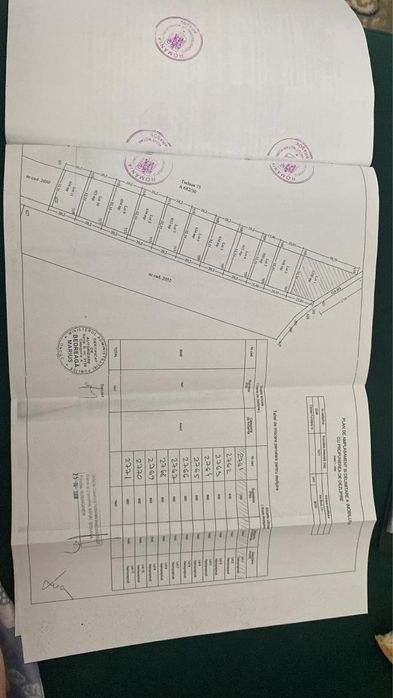 Teren intravilan cu PUZ si electricitate la 2 pasi