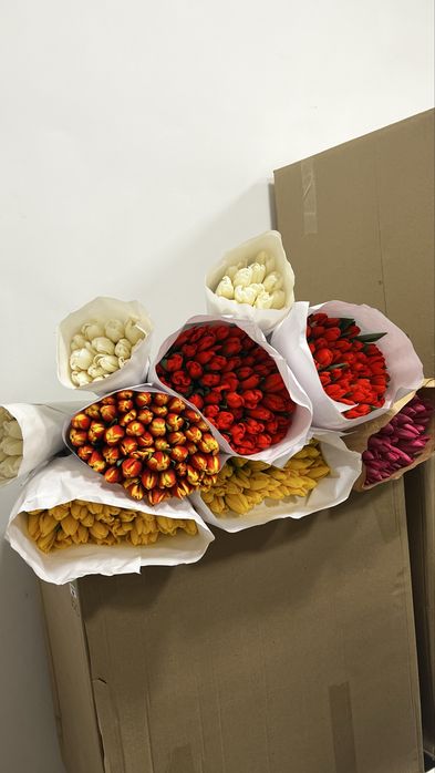 Тюльпаны оптом Астана