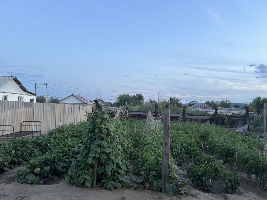 Продам дом. Восточный левый 4 дачи