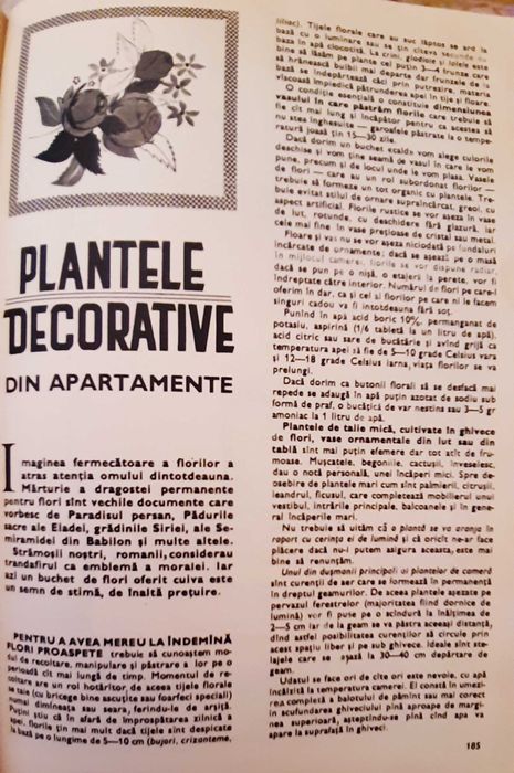 Lot Almanah Magazin 1969 - 1989