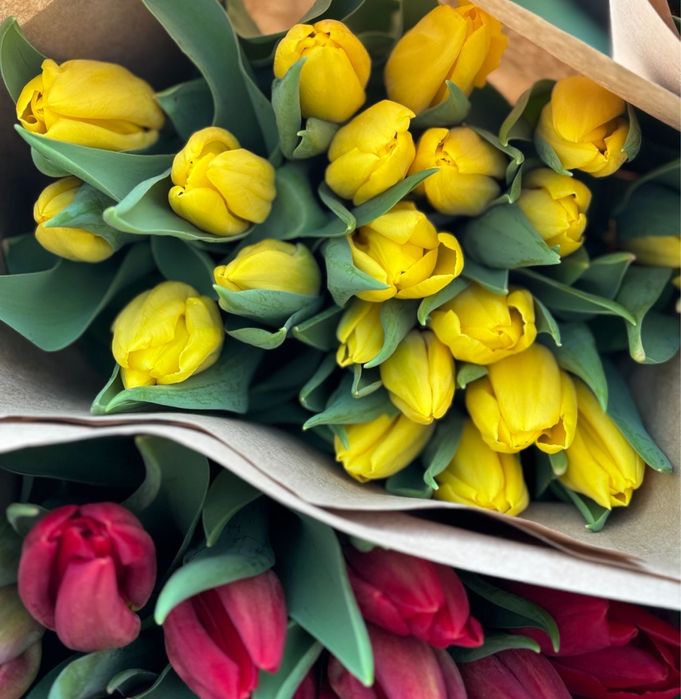 Тюльпаны оптом доставка