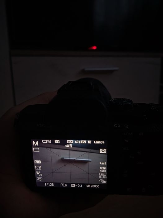 Sony A7II + Sony FE 28-70mm OSS