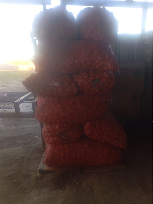 Продам отборную картошку