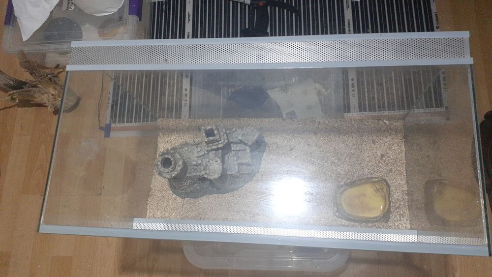 Terariu reptile (exotera)