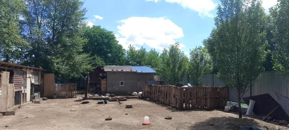 Продам дом в Акжар 1