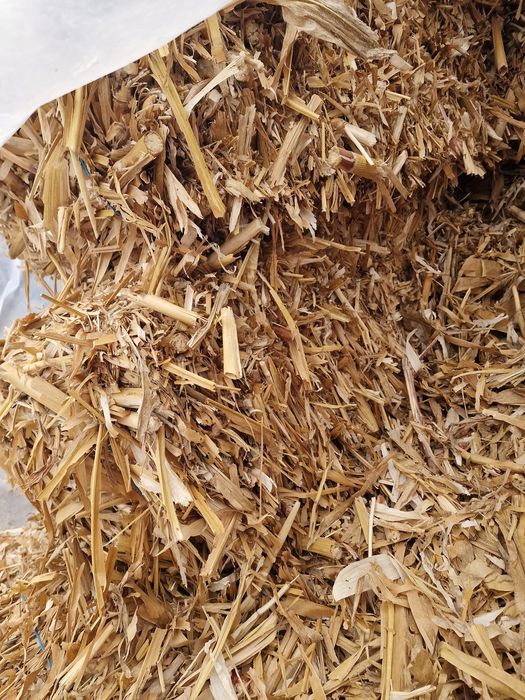 Vând baloti cocenii