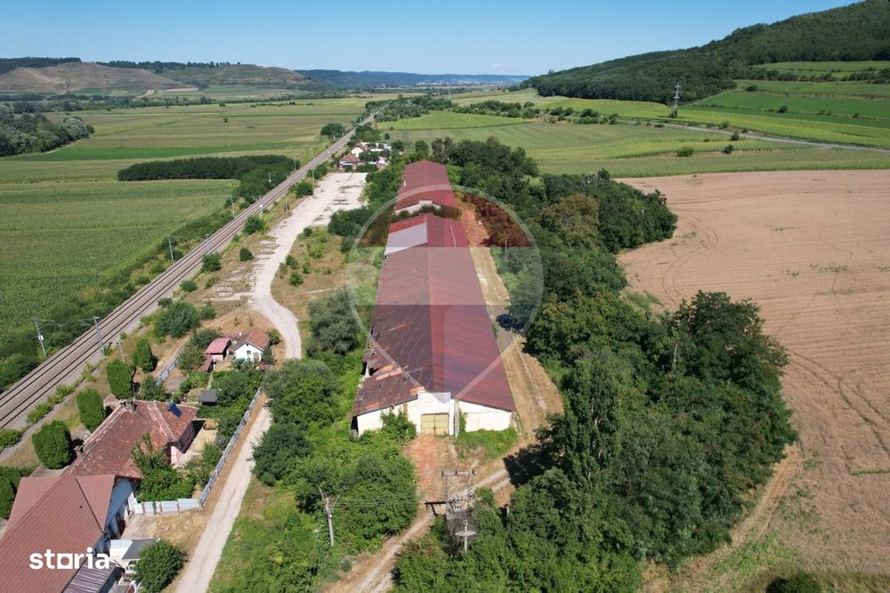 DE VANZARE ansamblu industrial versatil – 2 hale, teren 1,4 ha jud. SB