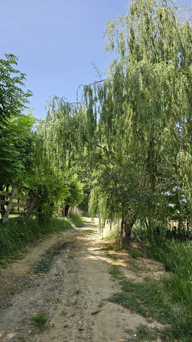 Teren intravilan în Sohodol de 3600 m²