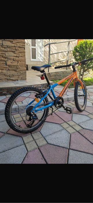 Vand bicicleta copii Pegas Mini Drumet 20 inch