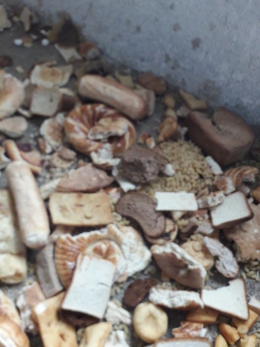 Сухори1.мешок.2000