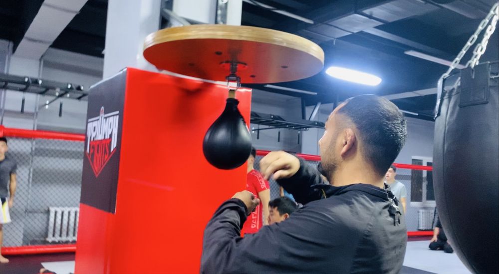 груша Speed back и зал и в офис