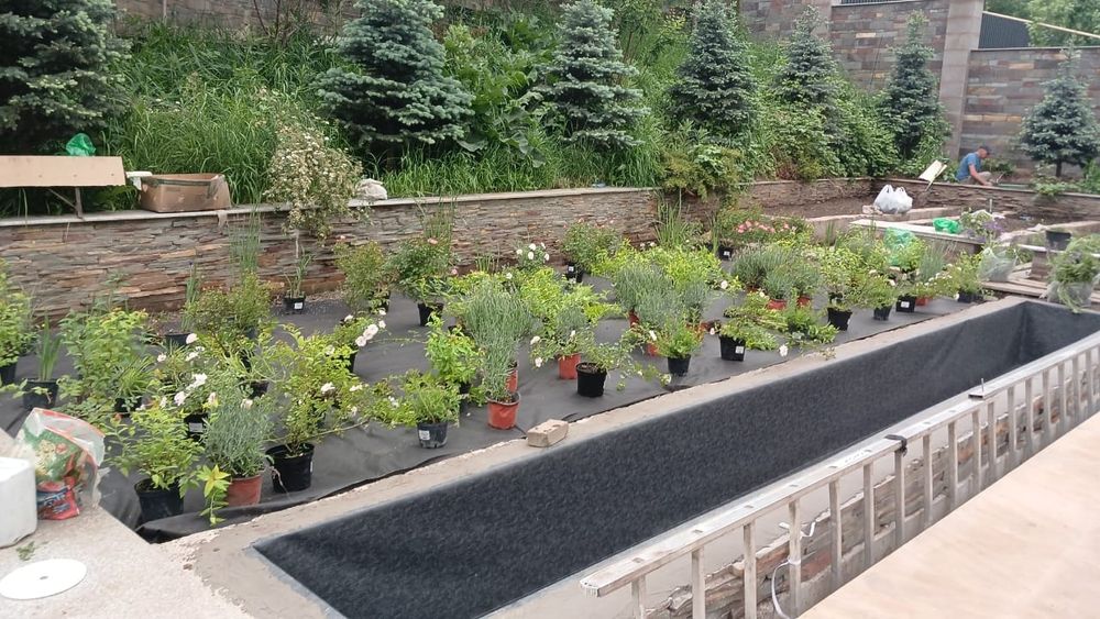 Озеленение благоустройство