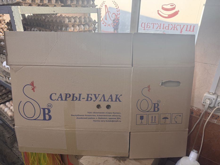 Коробки из под яиц.