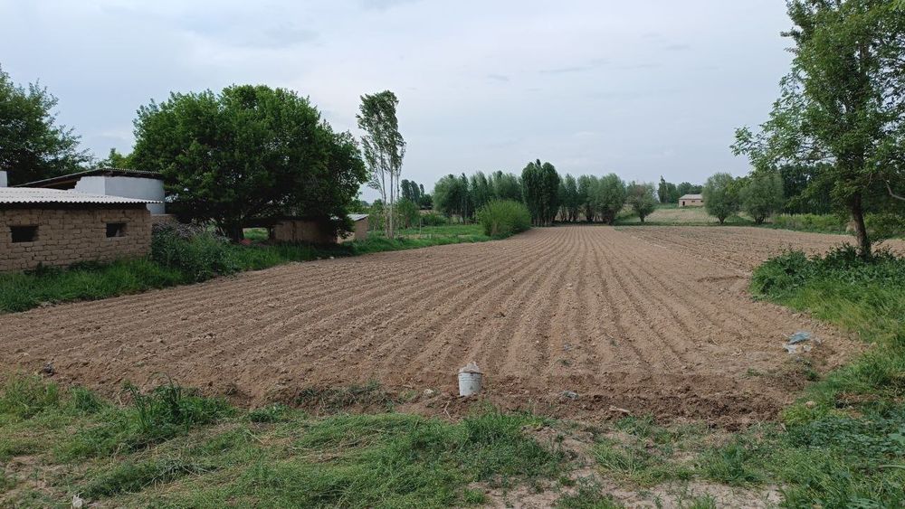 Uy sotiladi Piskent tumani Novkent mfy sozoq koʻchasi 13 uy 44 sotix