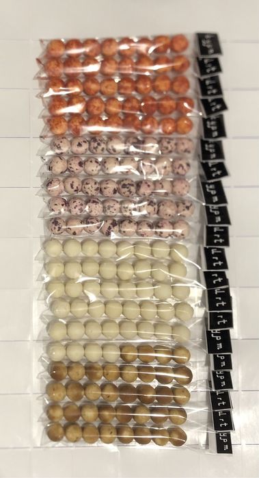 Optom Chaq chuq 30gr. dan