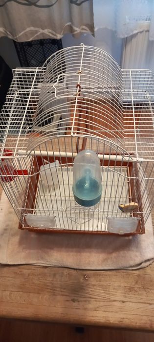 Vând cusca pentru papagal