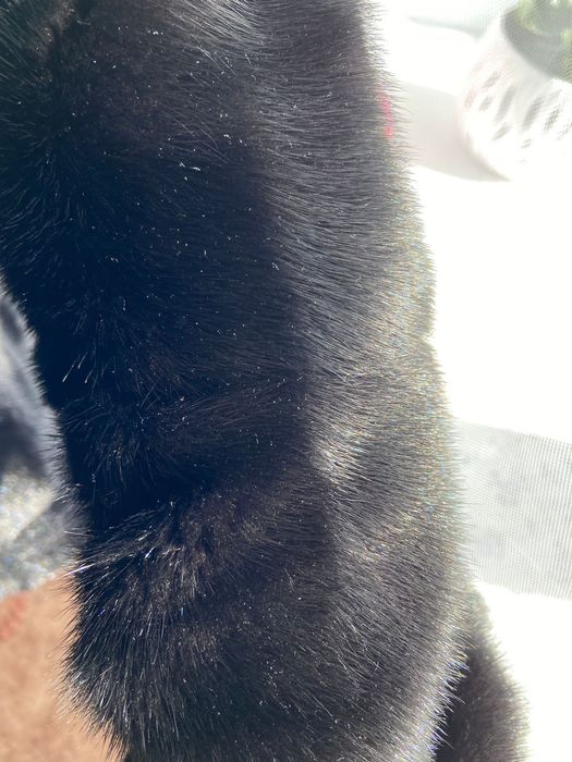 шуба трансформер