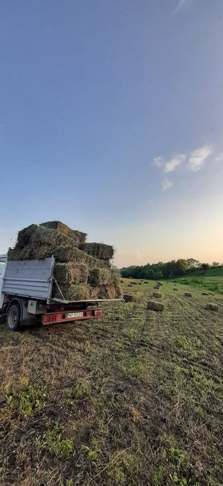 Baloți Lucernă și Fân