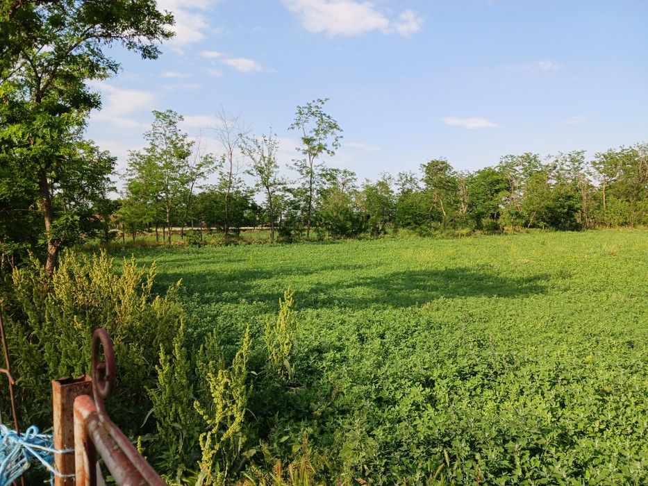 Vând teren intravilan Caltuna