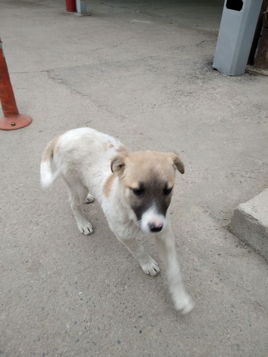 Срочно, срочно, срочно!!!