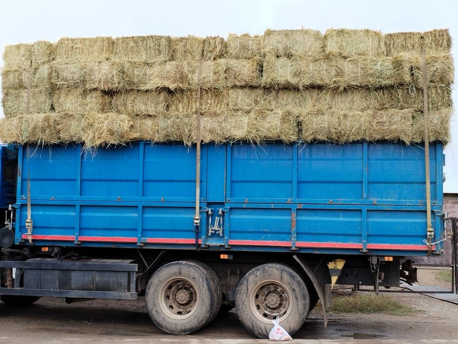 Рулон  тюки сено зелёный
