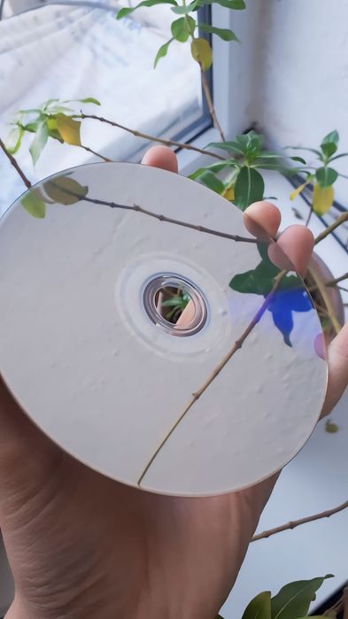 Ps3 игры God of war