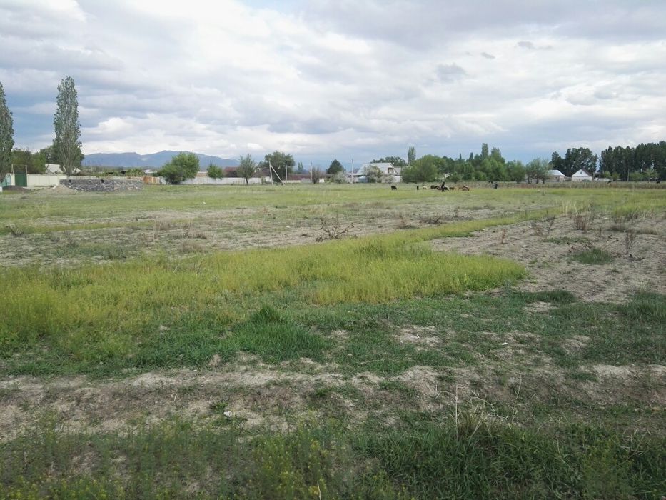 Продаётся участок в селе жалпак тобе