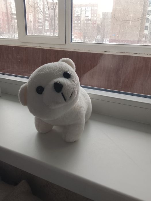 Мамық сүйкімді өте жақсы