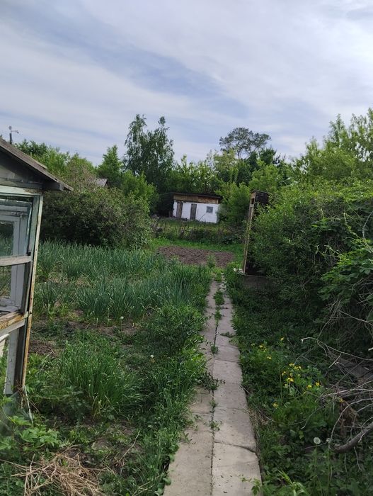 Продам летную дачу