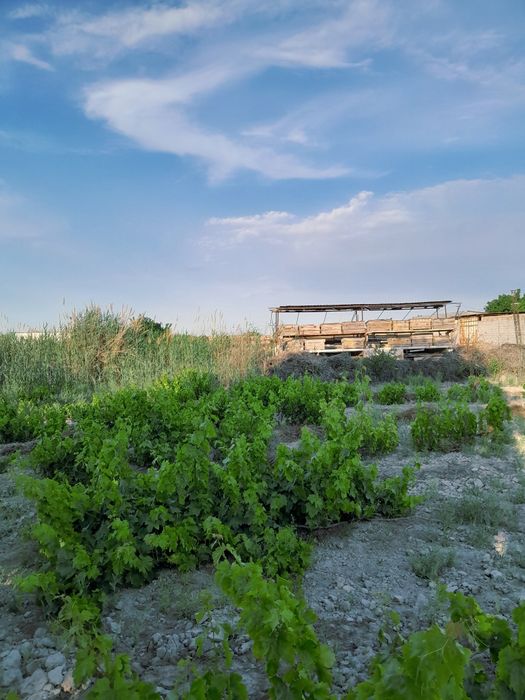 Madaniyatda 5 sotixli uchaska sotiladi 1ta katta xona qurilgan