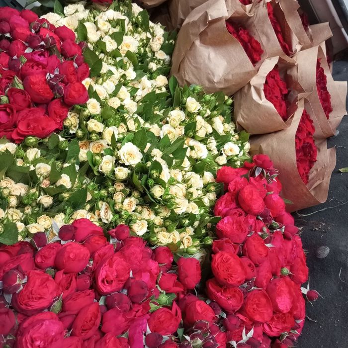 Атргул оптом гарантия