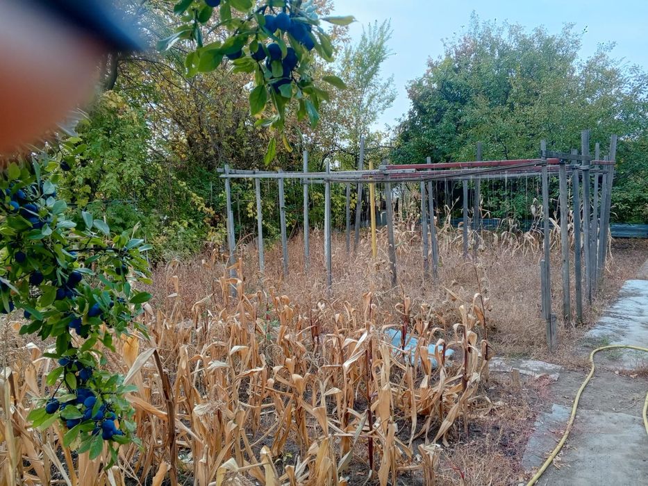 Продам дачный участок