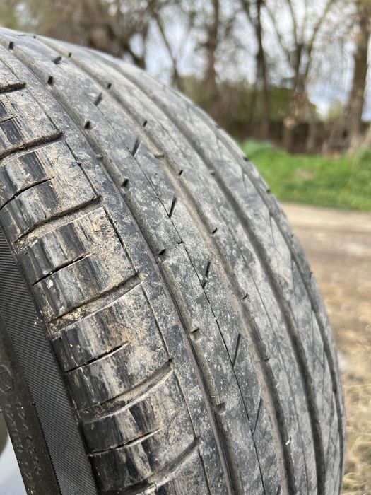 Продам Торус R17