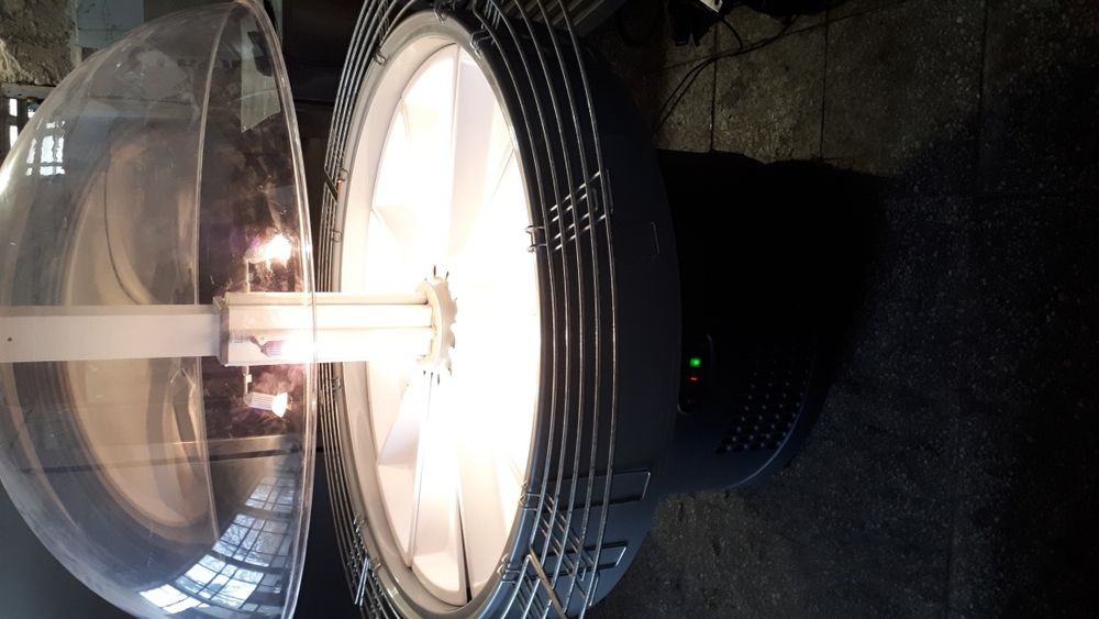 Студена витрина