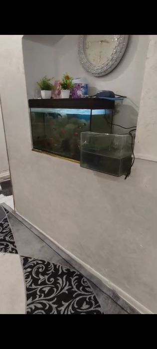 Трёх комнатная квартира