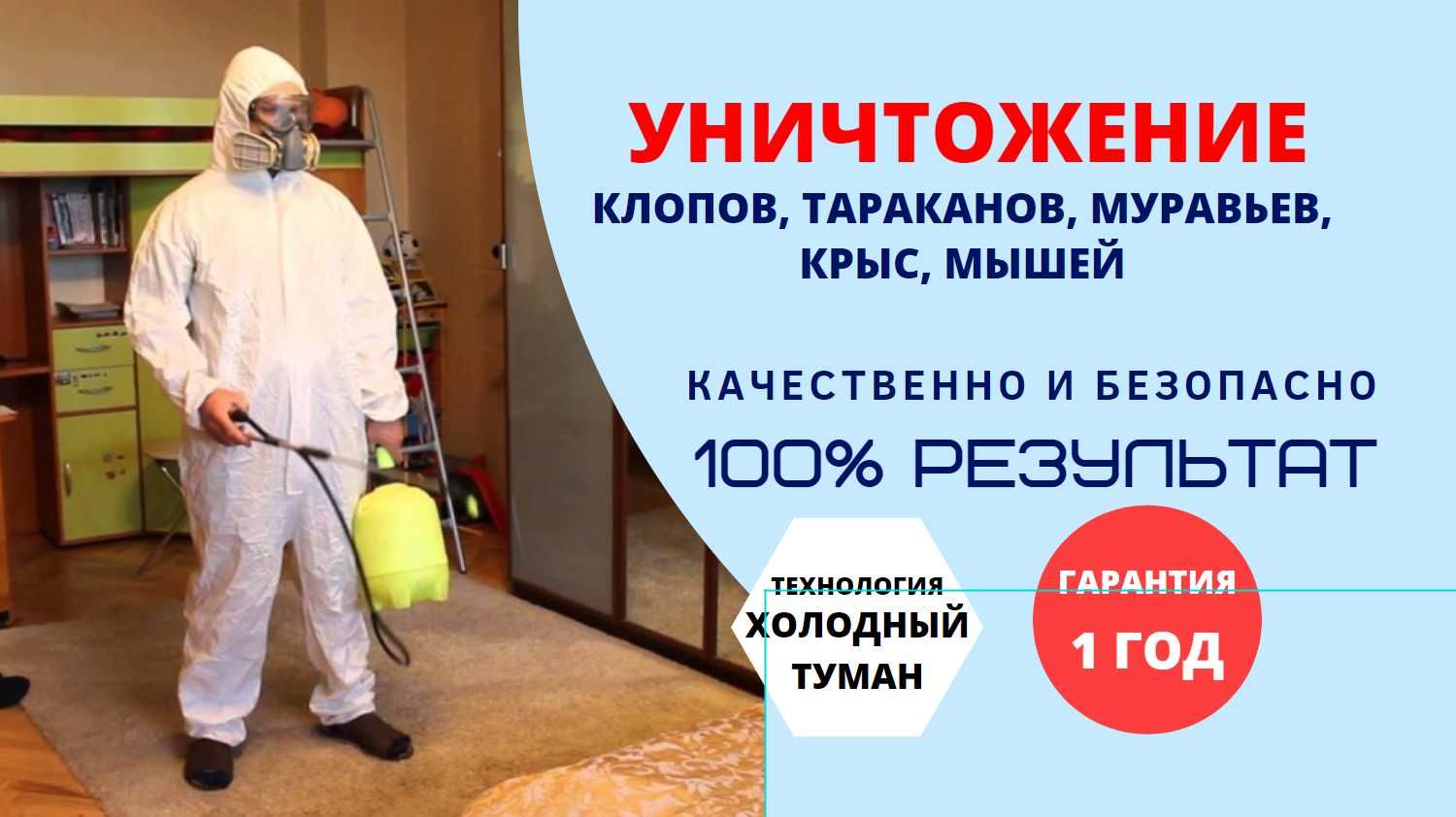 Дезинфекция клопов иваново. Дезинфекция клопов Кемерово.