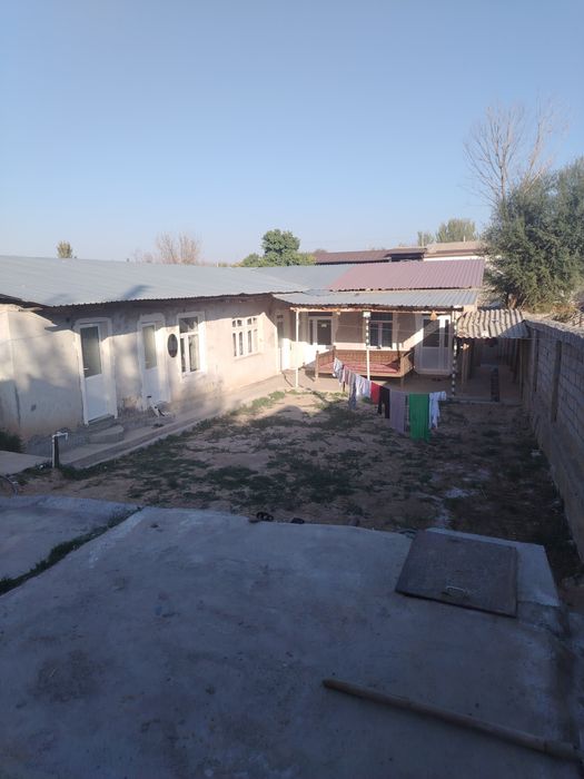 Toshkent tumani dala xovli