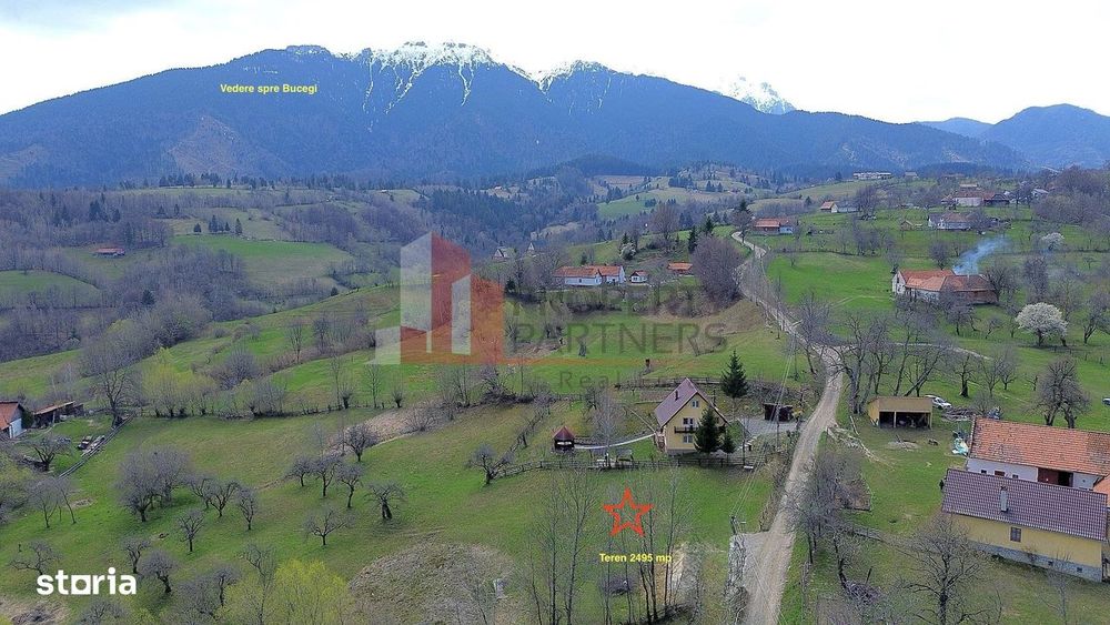 Teren 2.495 Mp | Bran – Sohodol | Vedere Panoramică Spre Bucegi
