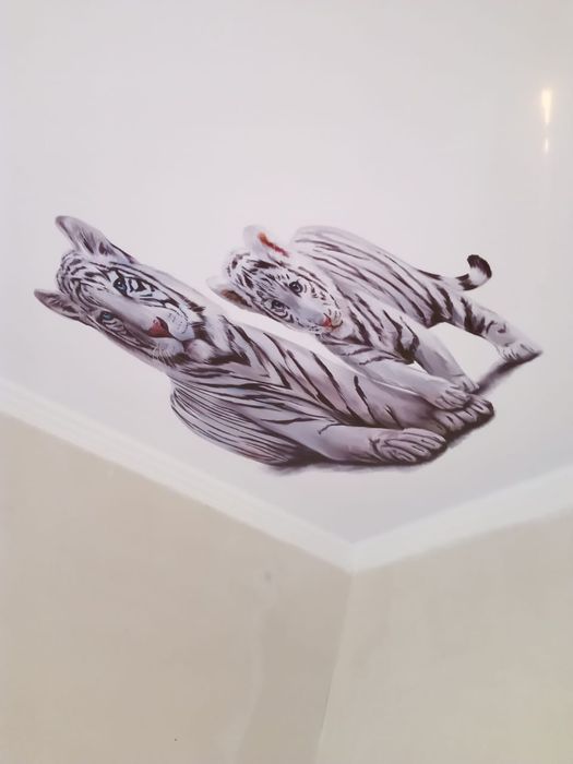 Натяжные потолки