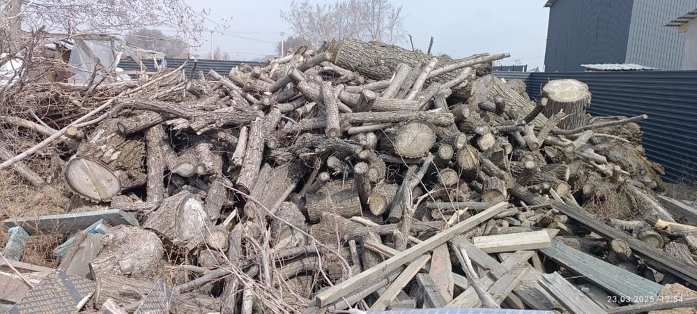 Дрова сухие Карагач