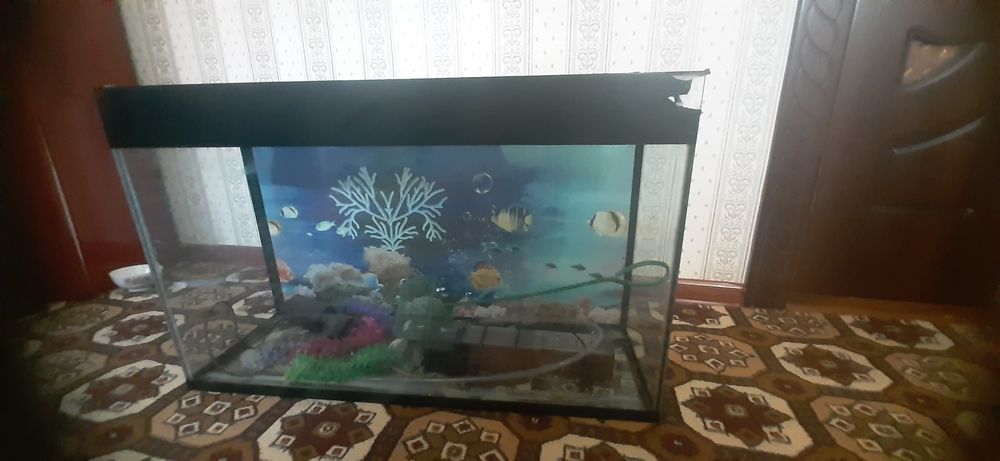 Продаётся аквариум