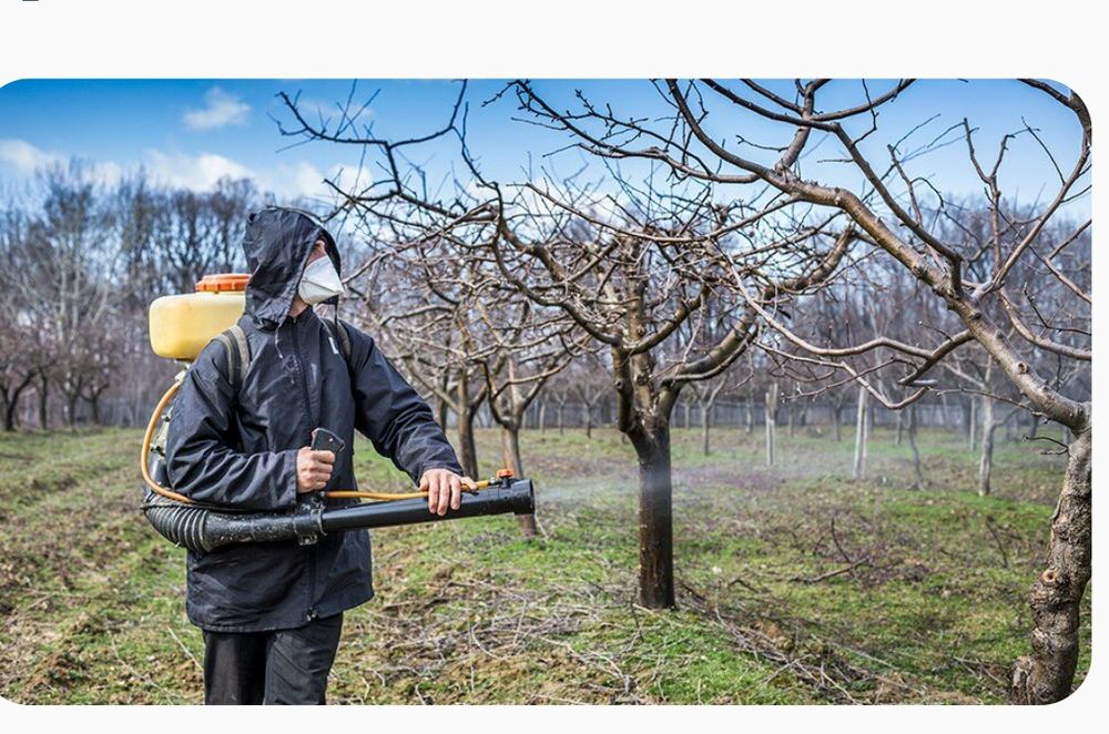 Обработка и обрезка сада